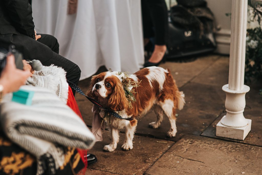 Wollaton Hall wedding