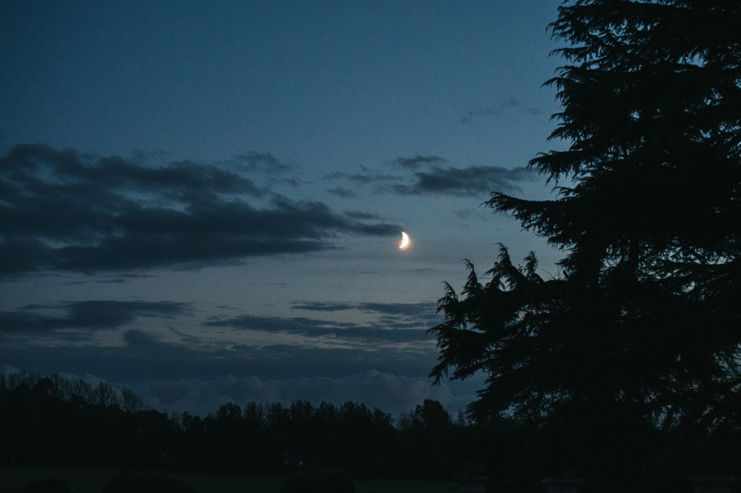 Prestwold Hall wedding